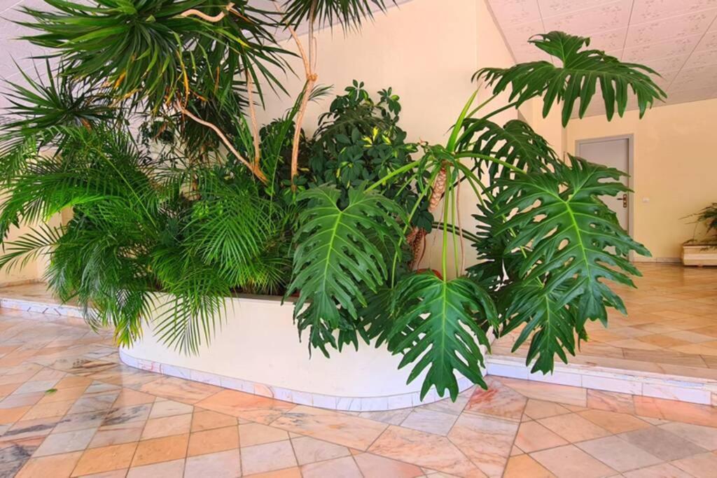 קווארטיירה Comfort Zone Beach Apartment מראה חיצוני תמונה